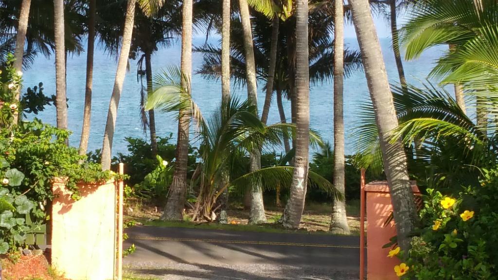 Whale House at Kehena Beach Pahoa Zimmer foto
