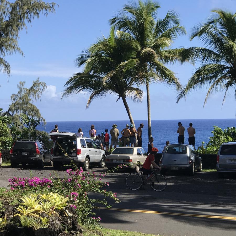 Whale House at Kehena Beach Pahoa Exterior foto
